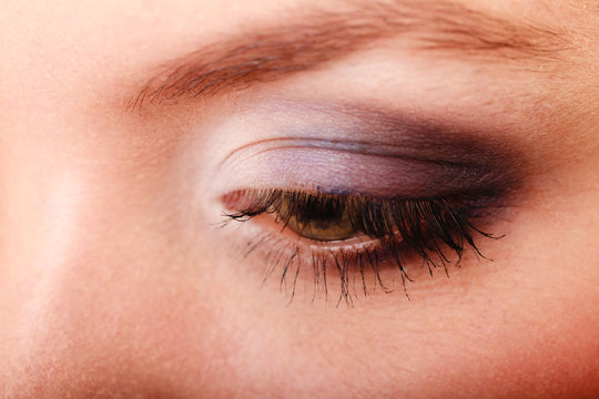 Closeup beautiful female eye with make-up visage.