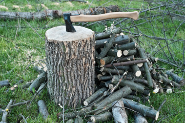 Axe in a stump, some cut wood and twigs around, waiting to be cut.