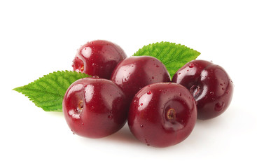 Sweet cherries with leaves.