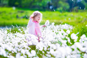 Little girl in a flower field