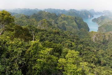 Fototapeta premium Halong bay archipelago