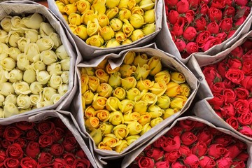 Colorful roses bunches