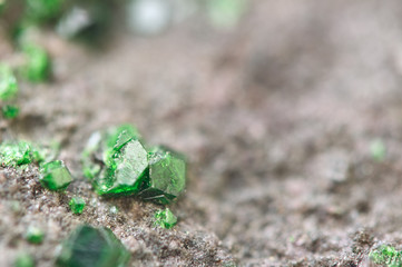Uvarovite is a chromium-bearing garnet. Macro.