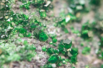 Uvarovite is a chromium-bearing garnet. Macro.