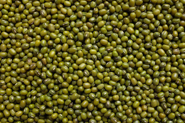 Dried green mung beans background