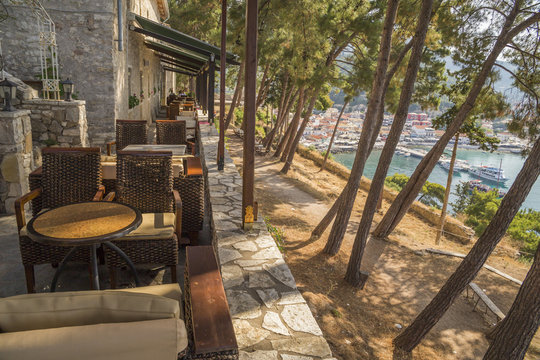 Parga Greece, pines trees