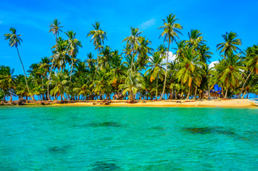 Paradise Tropical Island