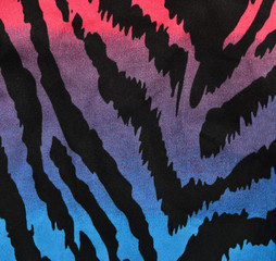 Blue,purple,pink zebra pattern. Degrade animal print as background.