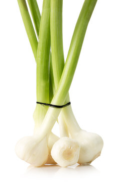 young garlics isolated on the white background
