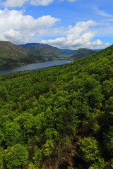 Fototapeta premium Triglav National park in Bohinj, Slovenia