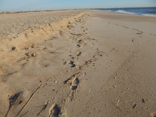 Footprints