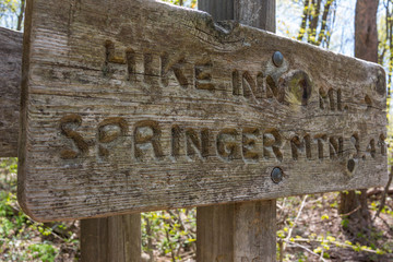 Springer Mountain Distance Sign