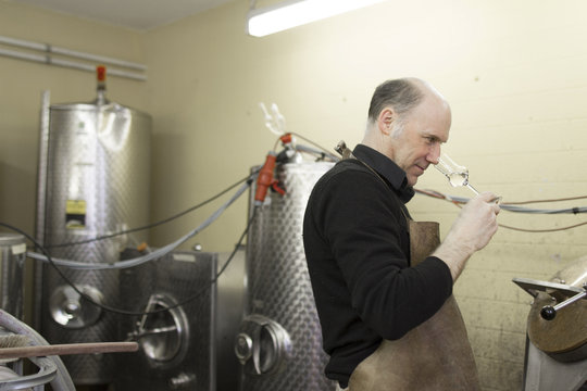 Distiller examining schnapps