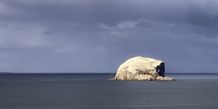 UK, Scotland, East Lothian, Bass Rock With A Colony Of Gannets