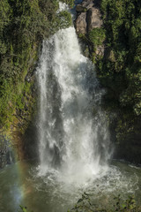 Fototapeta na wymiar Waterfall in Tengchong, Yunnan of China