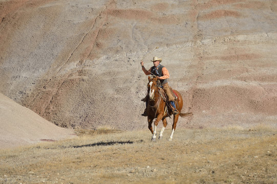USA, Wyoming, Big Horn Mountains, riding cowboy swinging lasso