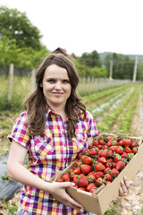 Young woman in strawberry field holding a cardboard box full wit
