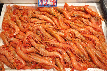 Prawns