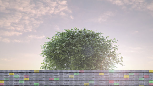 Robinia pseudoacacia umbraculifera behind concrete wall, D Rendering