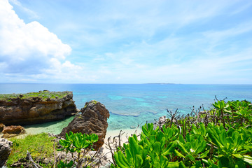 沖縄の青い海と亜熱帯植物