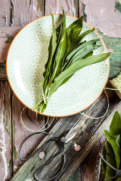 Wild garlic, Allium ursinum, on plate