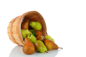 Bartlett and Bosc Pears in Basket © Steve Cukrov
