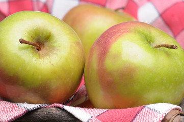 Fresh  Picked Apples