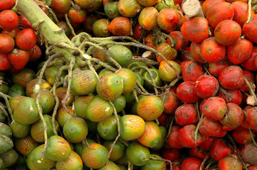 pejibaye at outdoor market