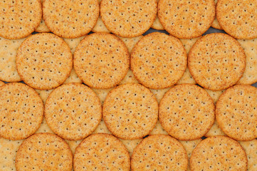 Cracker Closeup