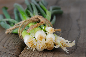Green Onions Closeup
