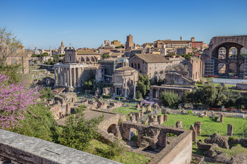 Obraz premium Forum Romanum w Rzymie we Włoszech