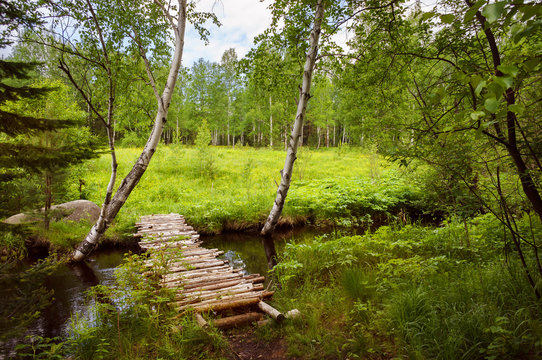 Fototapeta Forest rural landscape with a calm stream and wooden bridge