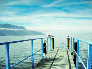 Obraz premium Gaviotas en Lago Leman