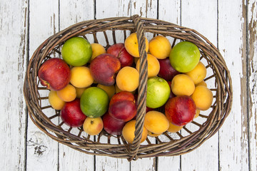 Obstkorb, Nektarinen, Aprikosen, Limetten, Holztisch, Studio