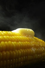 Butter melts in hot sweet corn on the cob  