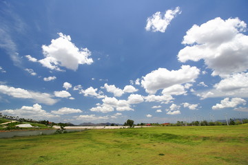 Obraz premium beautiful morning light in public park with green grass field and green fresh tree plant perspective to copy space for multipurpose