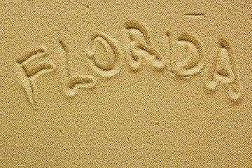 Sand beach of Florida