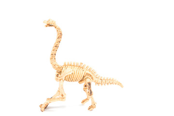 Dinosaur toy Skeleton 

