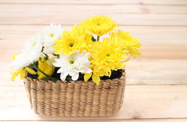 Spring Yellow flowers on wooden background