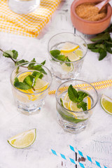 Fresh homemade lemon and lime lemonade served with mint, ice cubes