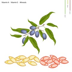 Chinese Olives with Vitamin A, E and Minerals