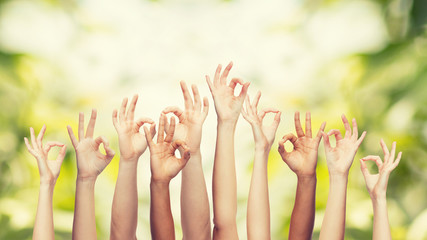human hands showing ok sign