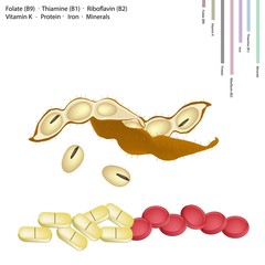 Peanuts with Vitamin B9, B1, B2 and K