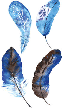 A set of four blue watercolor feathers