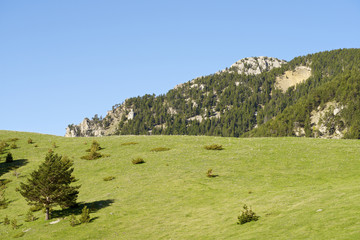 Fototapeta na wymiar Pyrenees