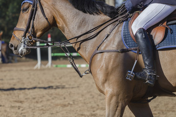 Horse Show Jumping closeup unidentified riders boot saddle reins detail.