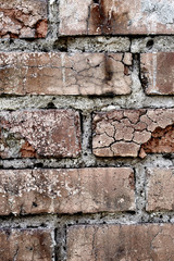 Brick wall texture