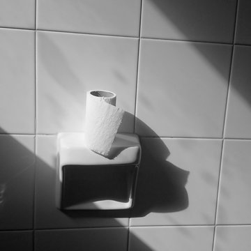 Papel higi&eacute;nico