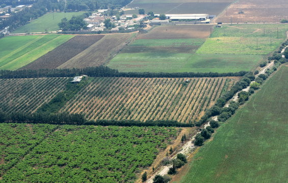 algerie...environ de dar el beida