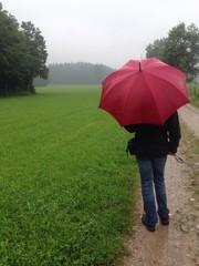 Wandern mit Schirm